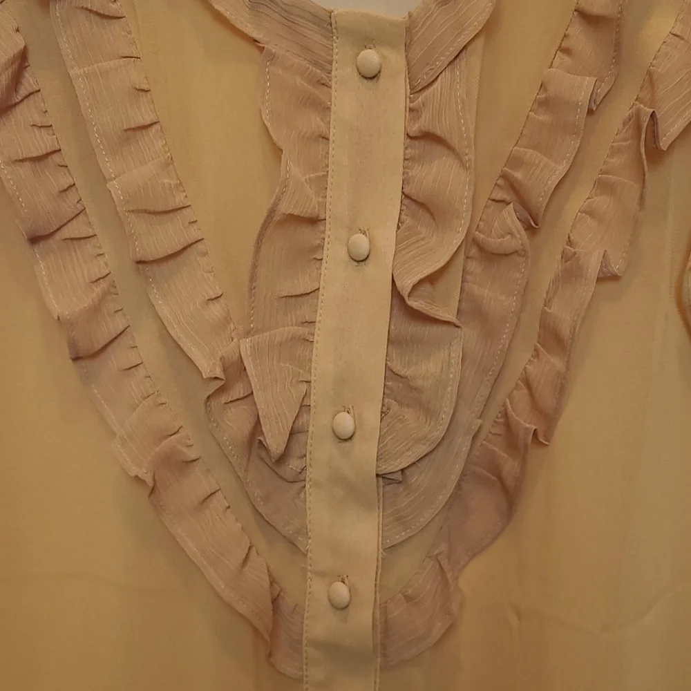 Banana Republic sheer top - Picture 3 of 8